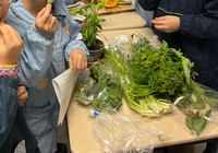 Atelier autour des plantes aromatiques en classe de CE2 B
