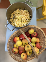 Atelier compote de pommes pour les moyennes section