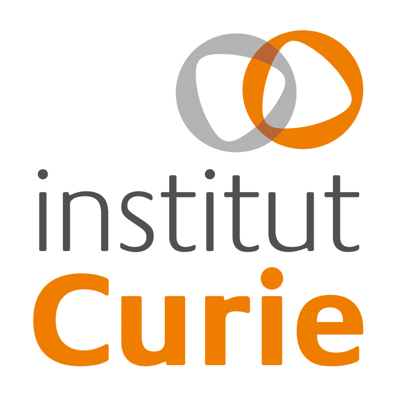 Vente de roses à l’initiative du Conseil des terminales